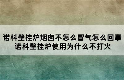 诺科壁挂炉烟囱不怎么冒气怎么回事 诺科壁挂炉使用为什么不打火